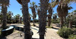 Locale commerciale in vendita – Pantelleria