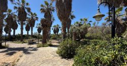 Locale commerciale in vendita – Pantelleria