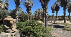 Locale commerciale in vendita – Pantelleria