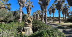 Locale commerciale in vendita – Pantelleria