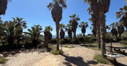 Locale commerciale in vendita – Pantelleria